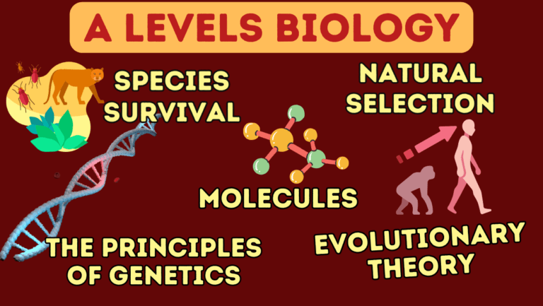 A – LEVEL BIOLOGY – 3 LIVE LESSONS