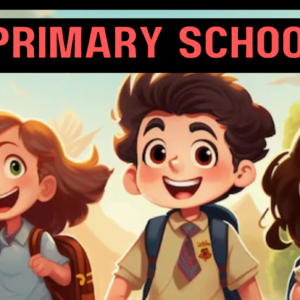 Primary School Lessons